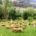 Rural La Cascada De Calmarza