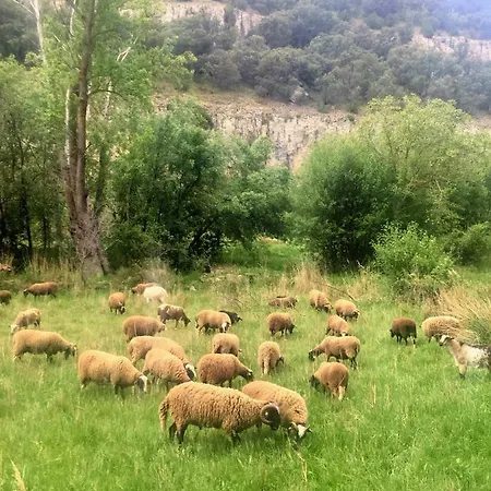 Rural La Cascada De Calmarza