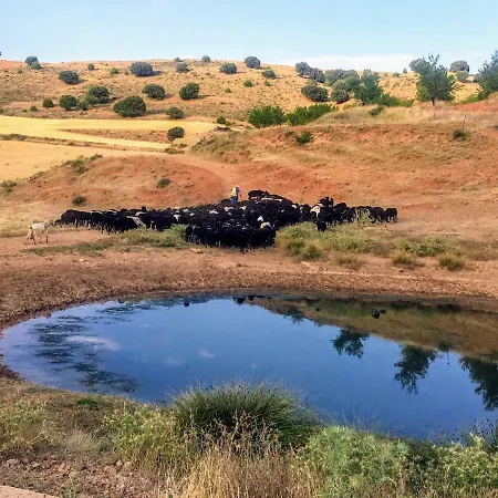 Appartamento Rural La Cascada De Calmarza