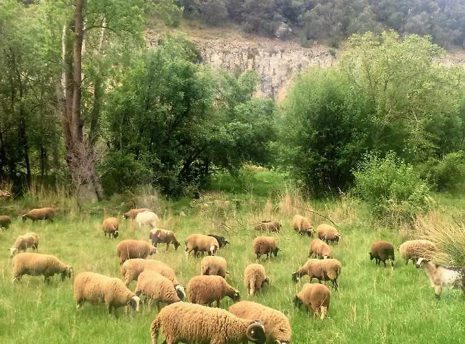Rural La Cascada De Calmarza