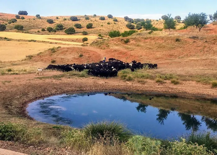 Lägenhet Rural La Cascada De Calmarza