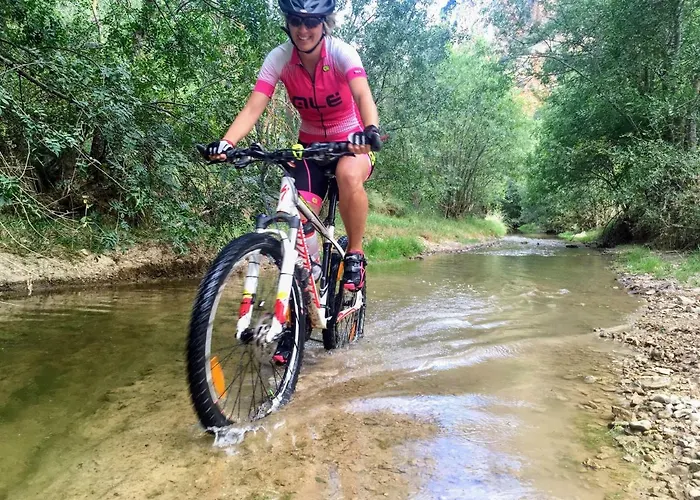 Rural La Cascada De * Calmarza